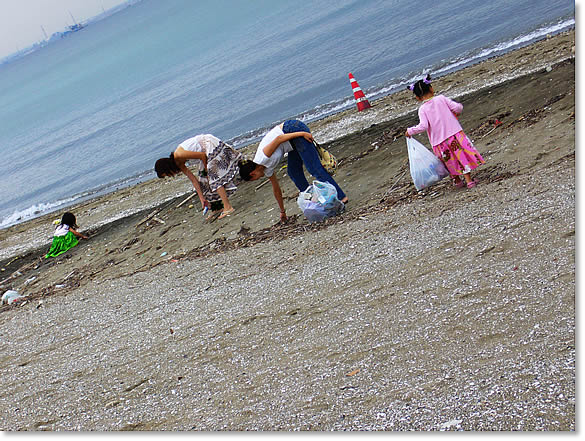 プルメリア ハマフラ リポート！ in Makuhari Beach