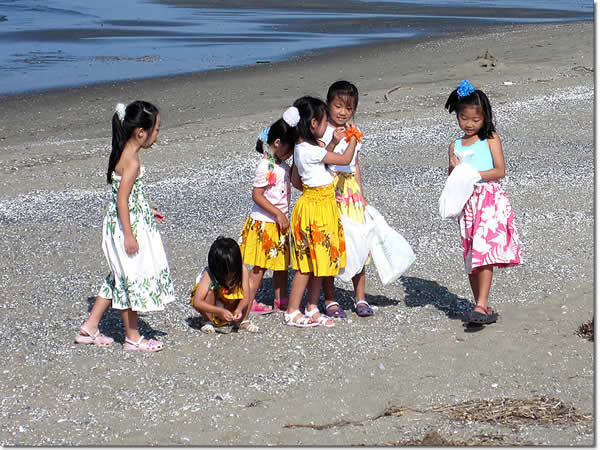 フラサークル プルメリア ハマフラ リポート2009 in Makuhari Beach