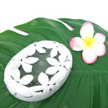 フラハワイ（Hula Hawaii）アクリル バスアイテム ソープディッシュ ティアレホワイト