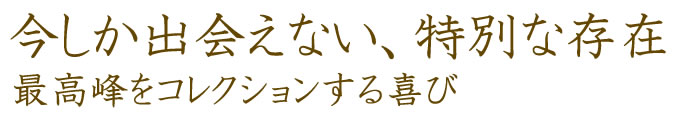 今しか出会えない、特別な存在