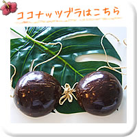ココナッツブラはこちら
