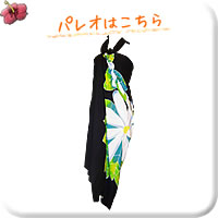 パレオはこちら