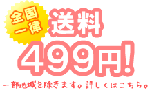 全国送料一律499円