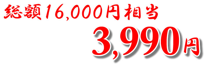 総額16,000円相当 3,990円