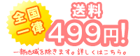 Sꗥ499~