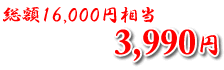 ���z16,000�~���� 3,990�~
