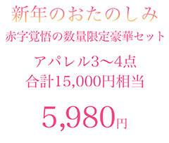 v15,000~ Ԏo5,980~